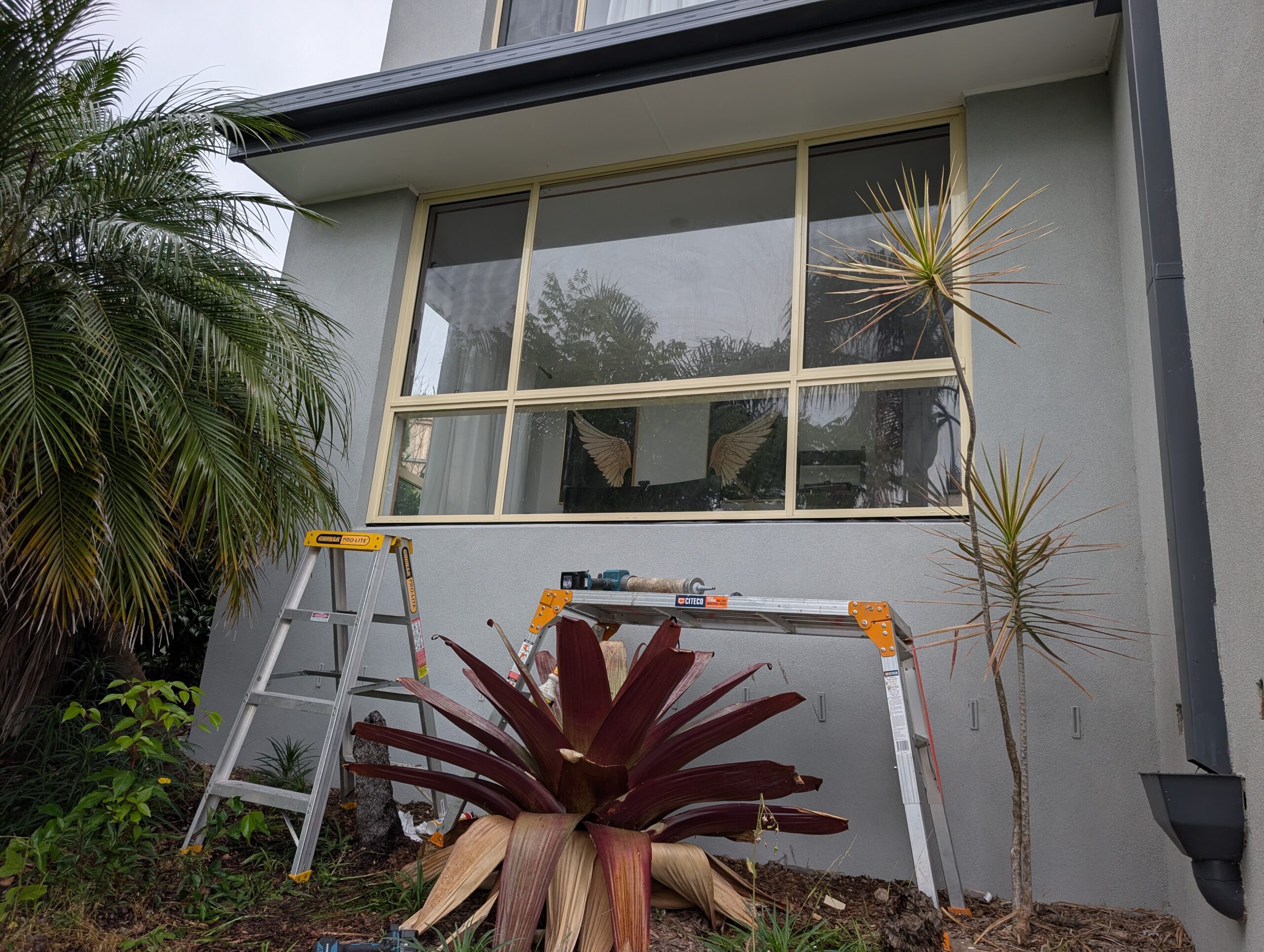 PXL_20251101_022448480